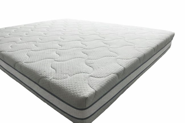 WhatsApp Image 2026-02-11 at 12.00.24