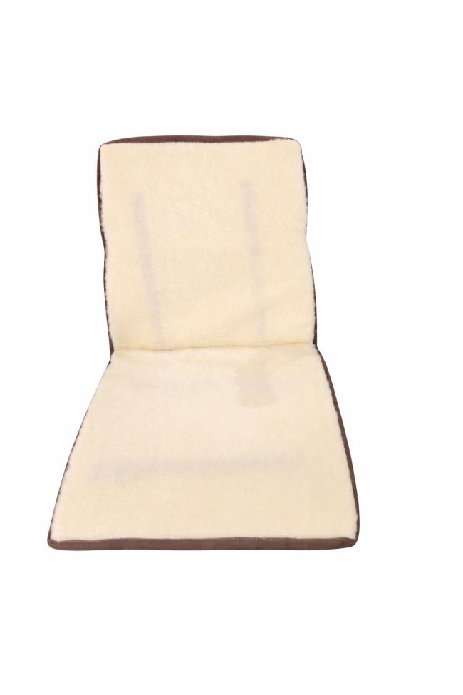 WhatsApp Image 2026-02-11 at 12.15.49